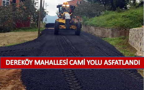 Dereköy Mahallesi Cami Yolu Asfatlandı.