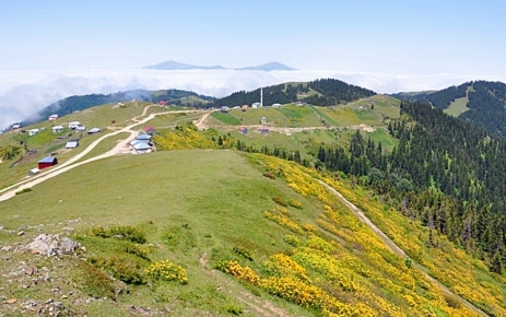 Doğu Karadeniz yaylaları için yeni proje.