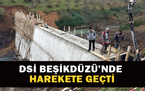 DSİ Beşikdüzü'de harekete geçti