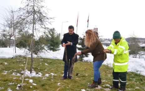 Trabzon'da Hayvanlar için yemleme istasyonları oluşturuldu.