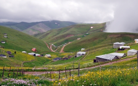 Trabzon'da Yayla'da ev yapan yandı!