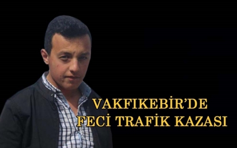 Vakfıkebir'de Feci Trafik Kazası