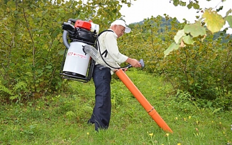 Fındık toplamada eleman sıkıntısına son.