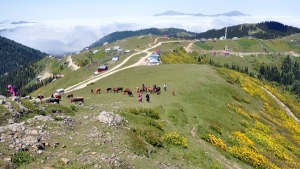 2013 Şalpazarı (Ağasar) Yayla göçleri. / Şalpazarı Haber...