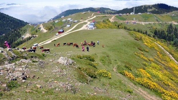 2013 Şalpazarı (Ağasar) Yayla göçleri. / Şalpazarı Haber...