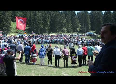 Göllü alan 2018